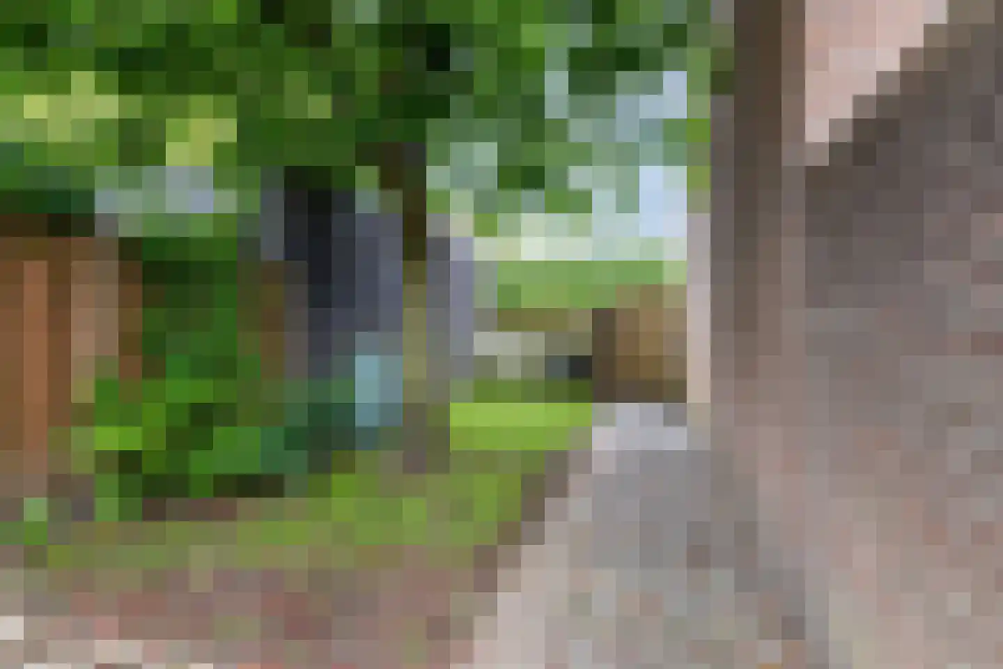 Hubertusveld 49 Gilze thumbnail 30