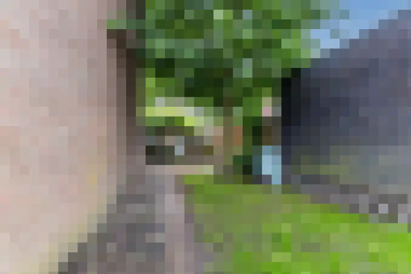 Hubertusveld 49 Gilze thumbnail 31