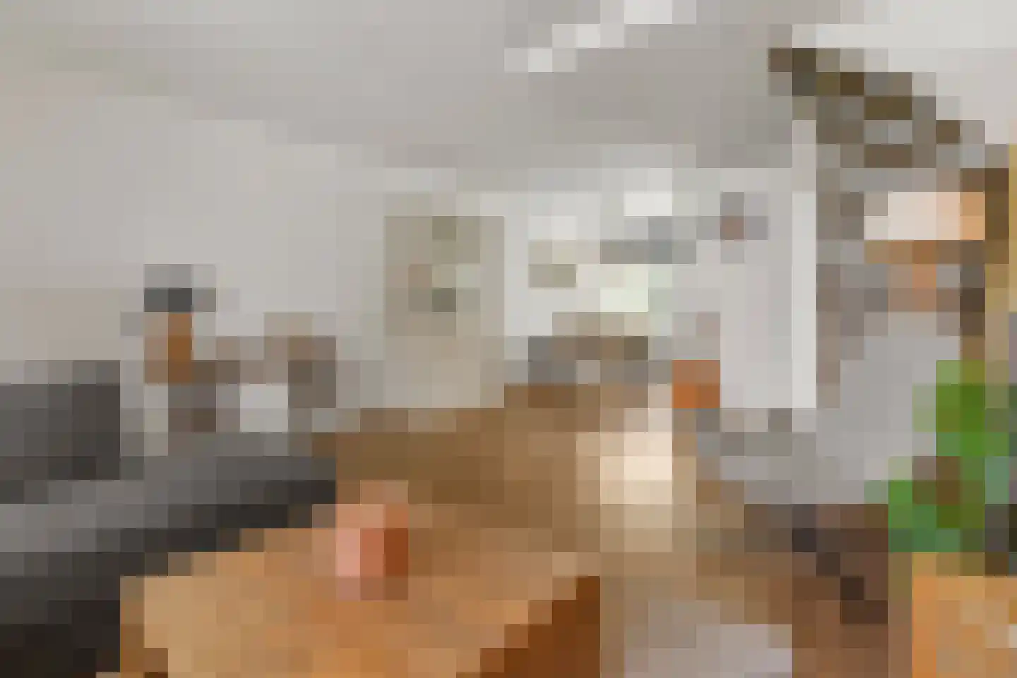 Hubrecht van Everdingenplein 2 Vianen thumbnail 5