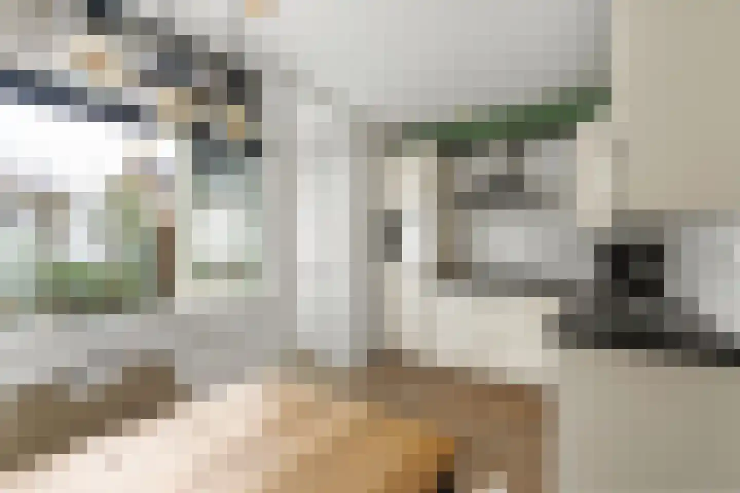Hubrecht van Everdingenplein 2 Vianen thumbnail 7