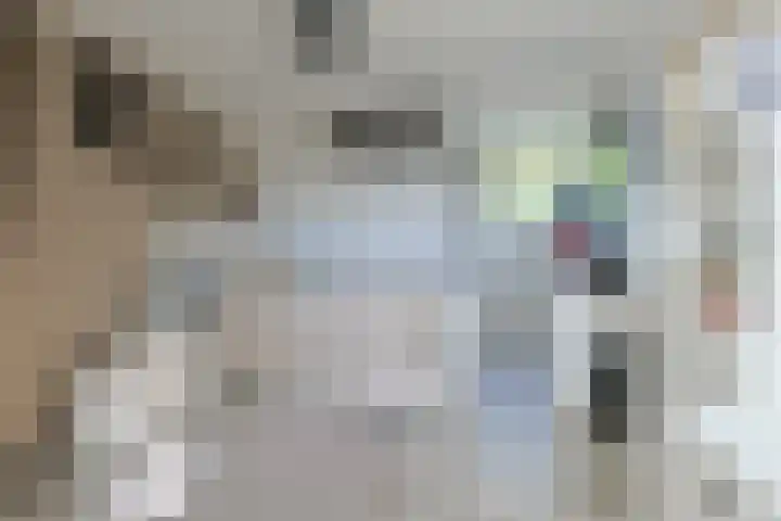 Hubrechtplein 3 Leiderdorp thumbnail 32