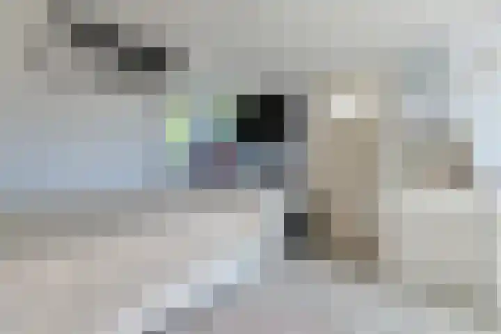 Hubrechtplein 3 Leiderdorp thumbnail 33