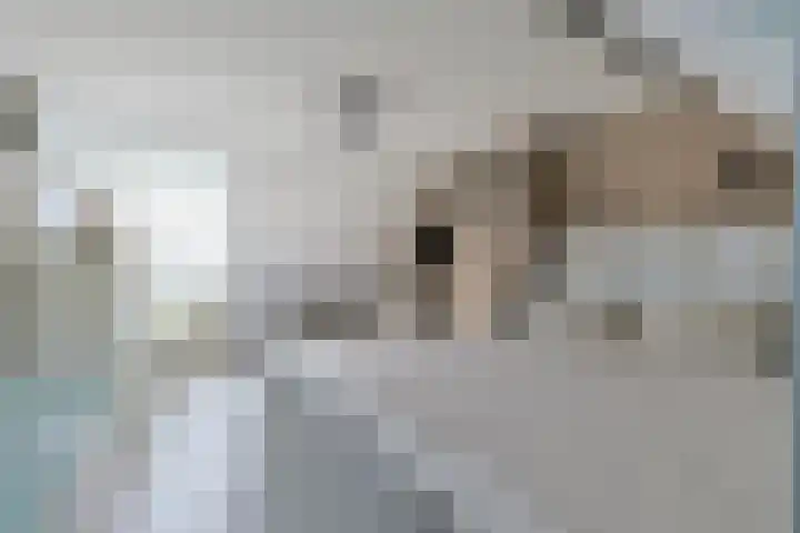 Hubrechtplein 3 Leiderdorp thumbnail 34