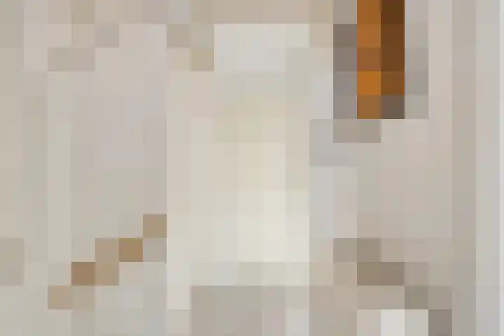 Hubrechtstraat 25 Leiderdorp thumbnail 20