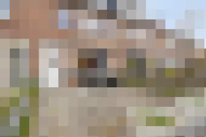 Hubrechtstraat 25 Leiderdorp thumbnail 6