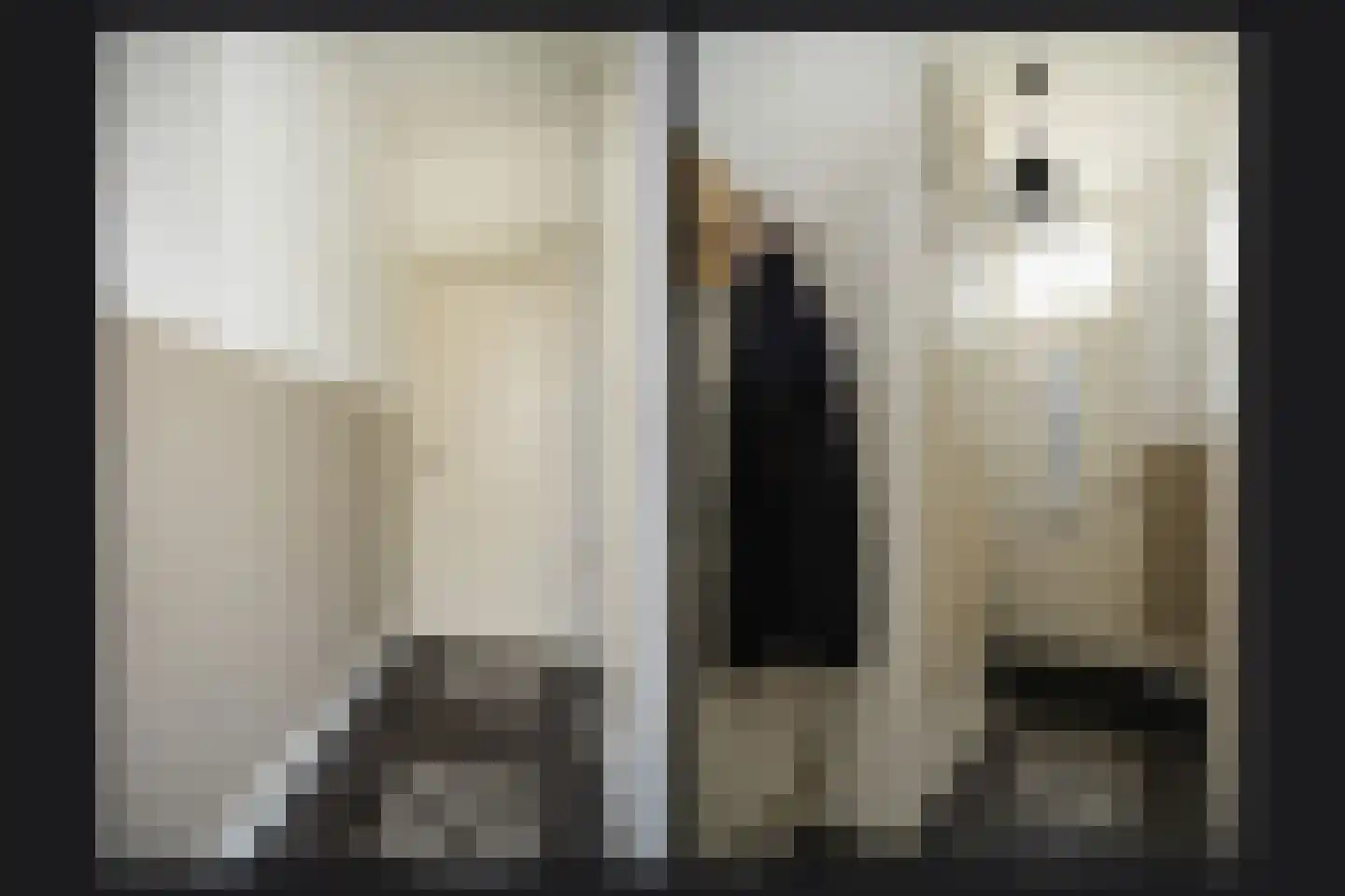 Hucht 7 Tiel thumbnail 10