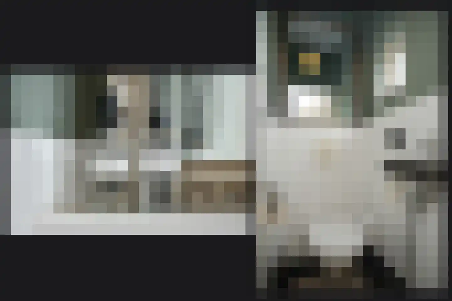 Hucht 7 Tiel thumbnail 19
