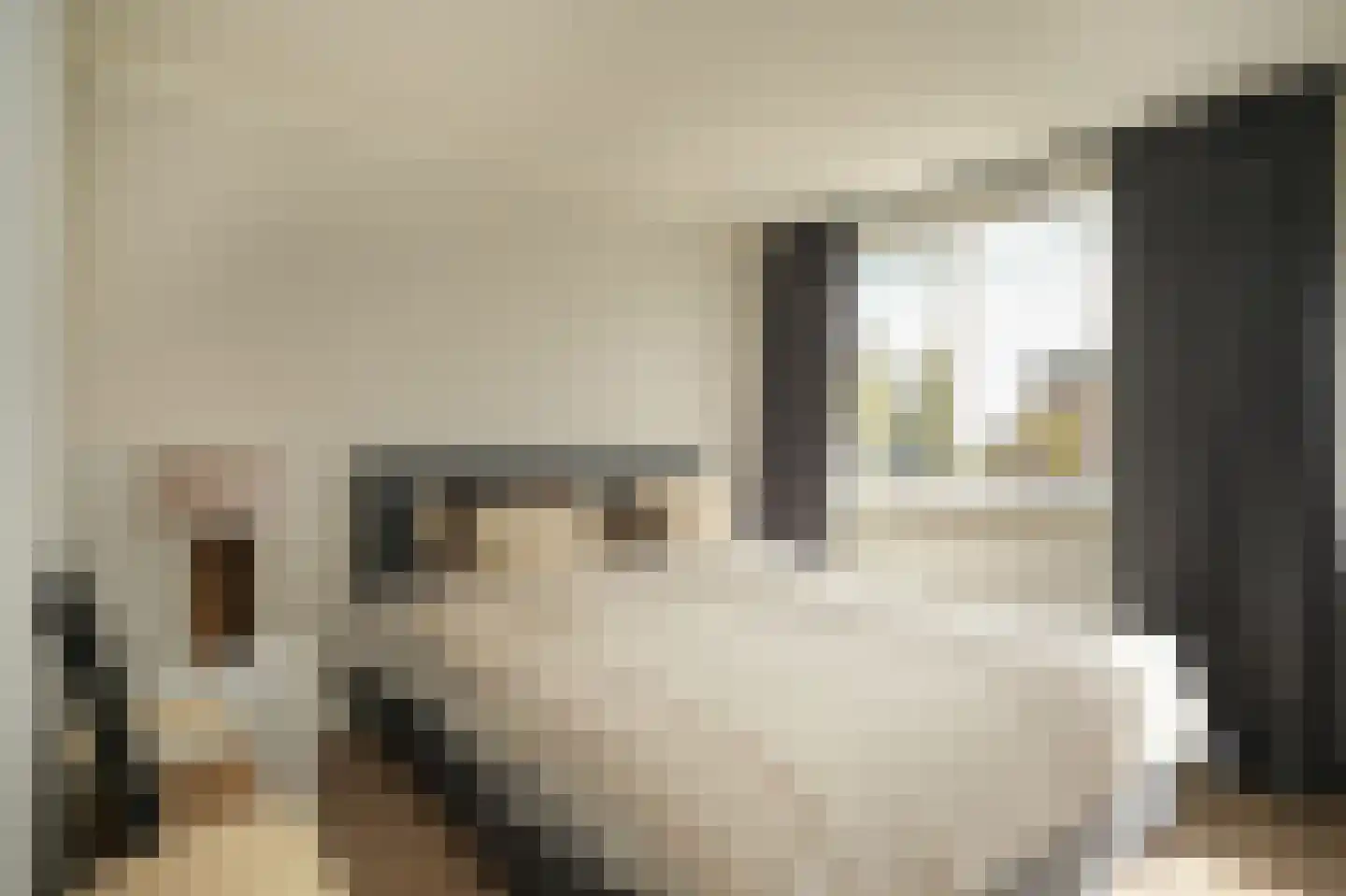 Hucht 7 Tiel thumbnail 20