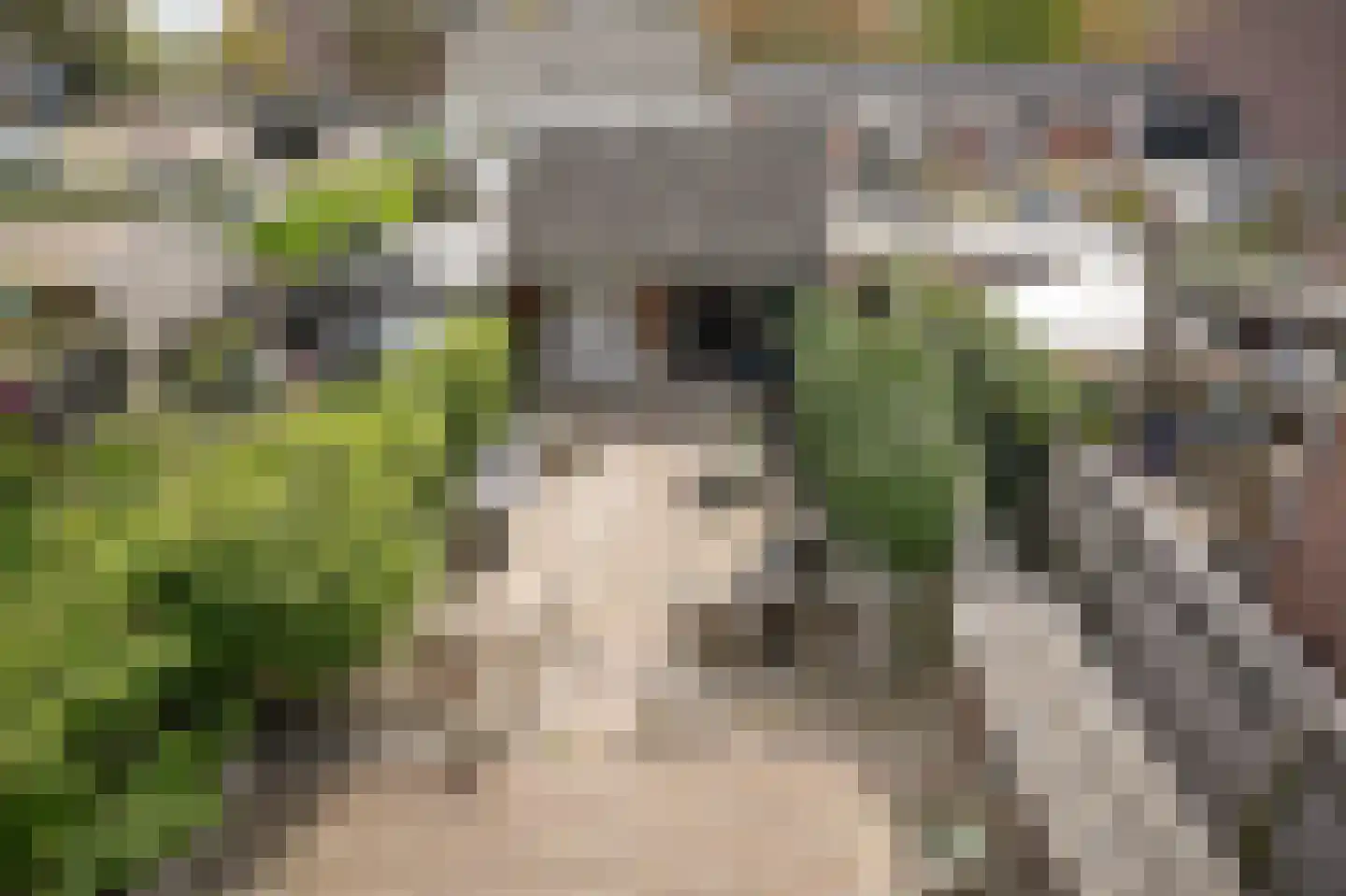 Hucht 7 Tiel thumbnail 22