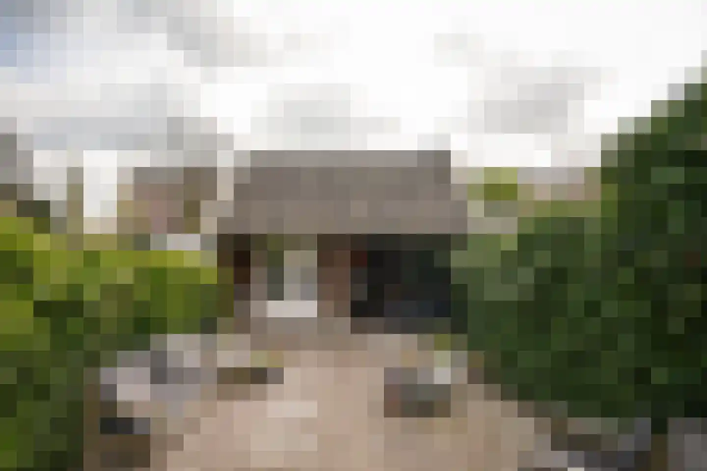 Hucht 7 Tiel foto 3