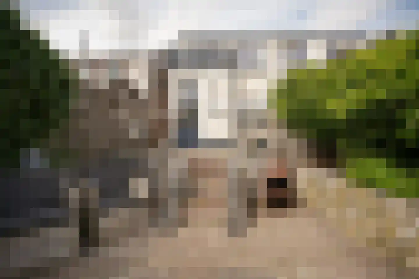 Hucht 7 Tiel thumbnail 39