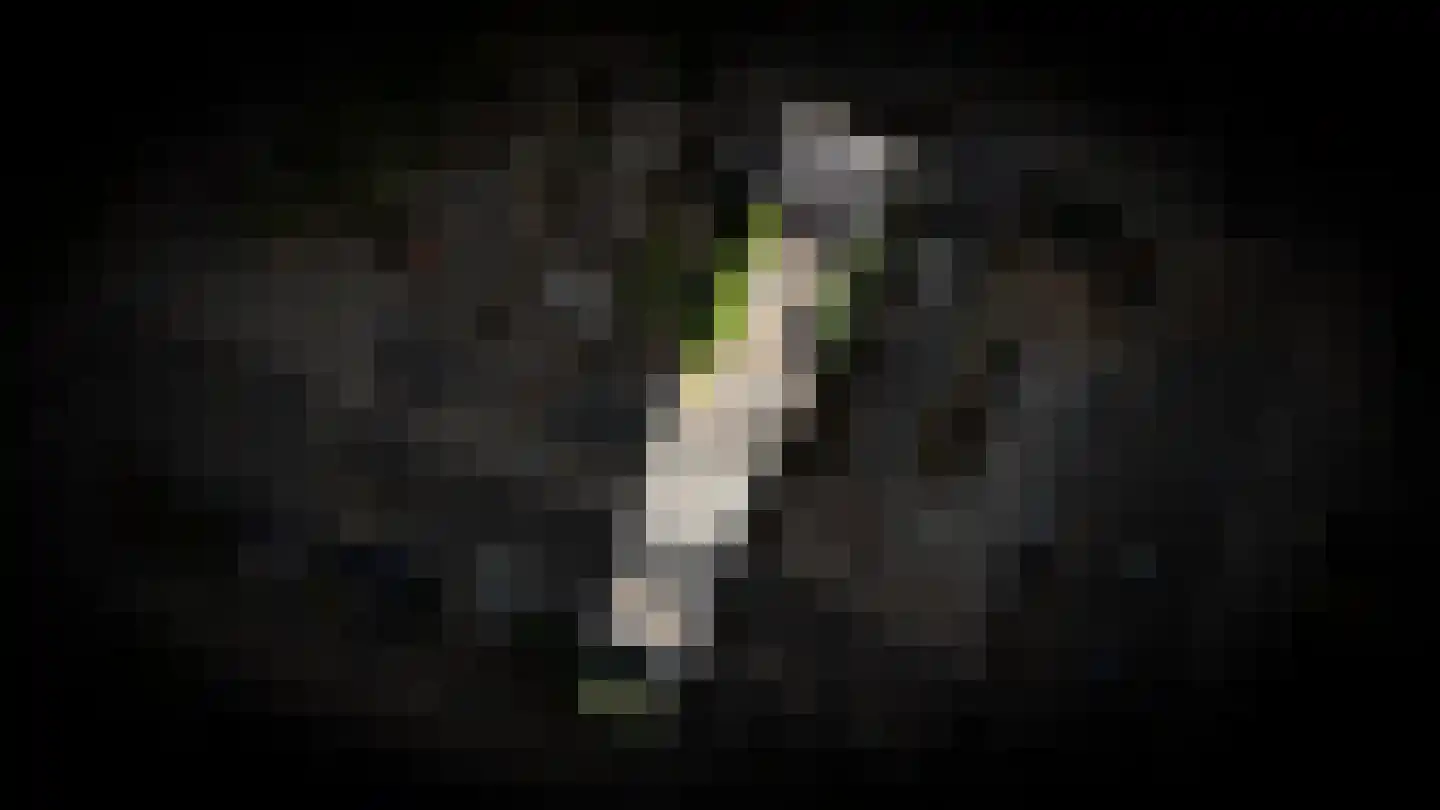 Hucht 7 Tiel thumbnail 45