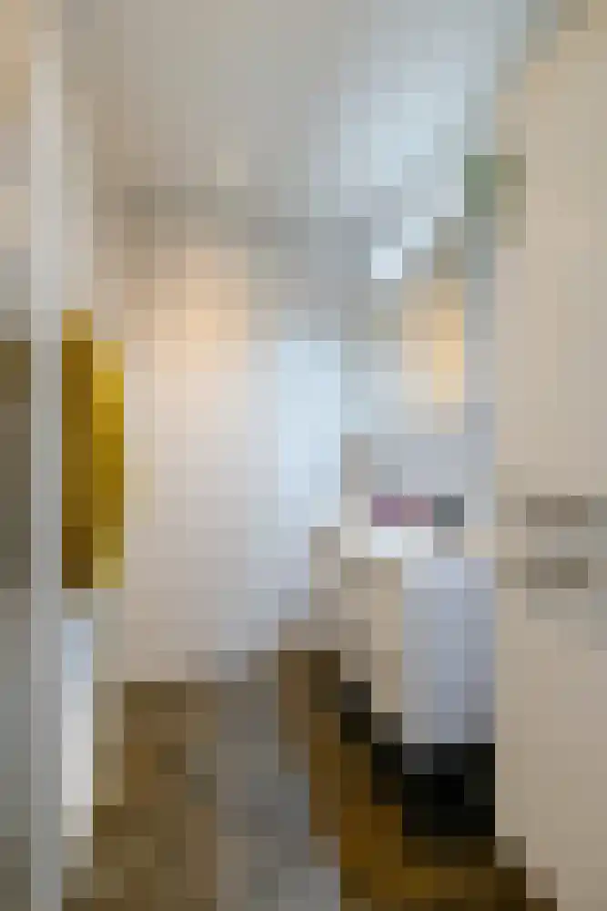 Huchten 2 Drachtstercompagnie thumbnail 17