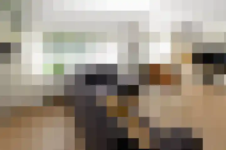 Huchten 2 Drachtstercompagnie thumbnail 27