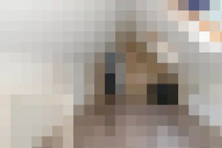 Huchten 2 Drachtstercompagnie thumbnail 33
