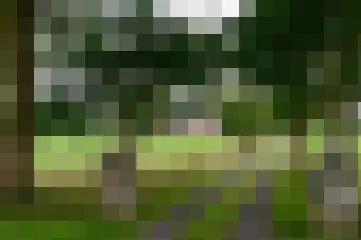 Huchten 2 Drachtstercompagnie thumbnail 4