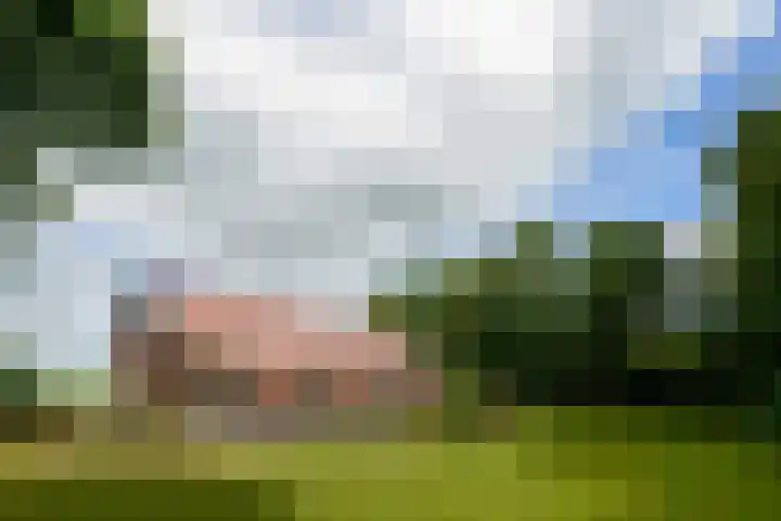 Huchten 2 Drachtstercompagnie thumbnail 40
