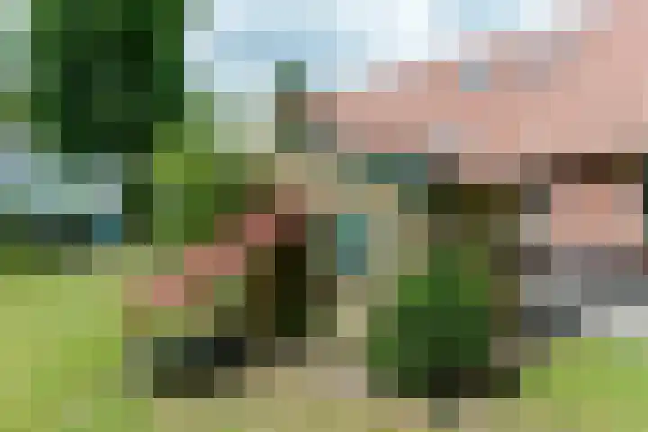 Huchten 2 Drachtstercompagnie thumbnail 42