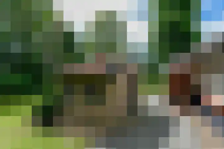 Huchten 2 Drachtstercompagnie thumbnail 44