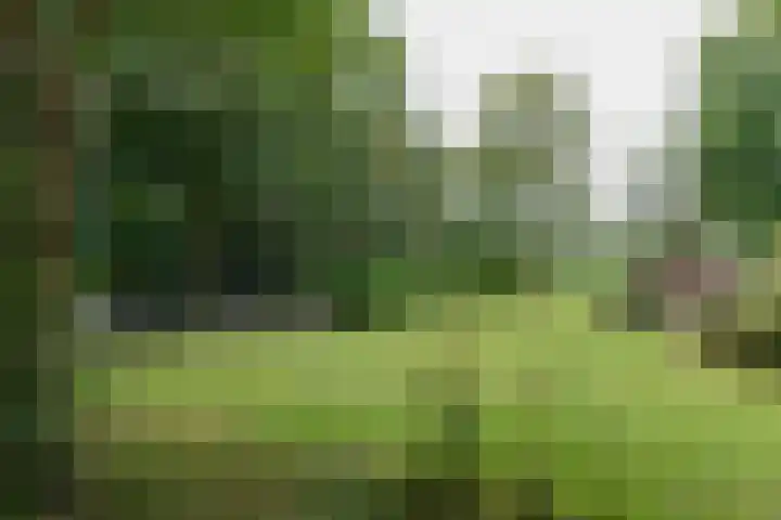 Huchten 2 Drachtstercompagnie thumbnail 46
