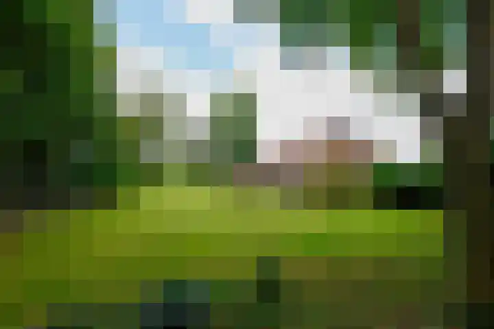 Huchten 2 Drachtstercompagnie thumbnail 47