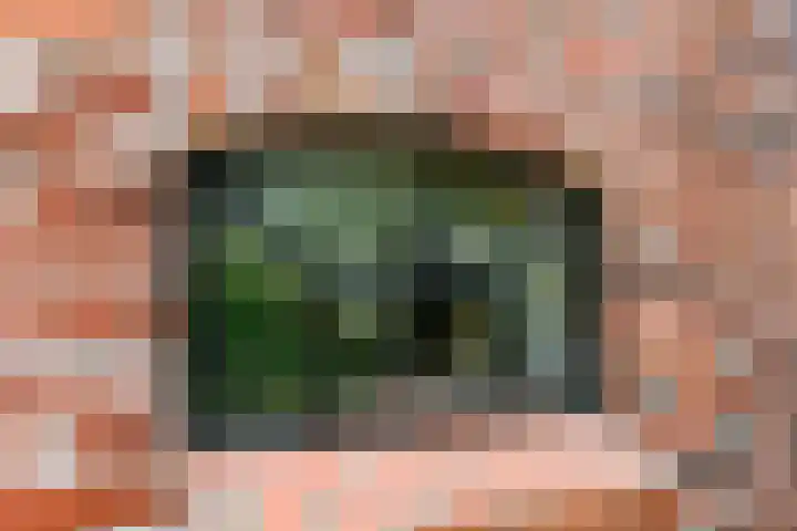 Huchten 2 Drachtstercompagnie thumbnail 48