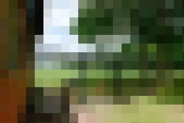 Huchten 2 Drachtstercompagnie thumbnail 50