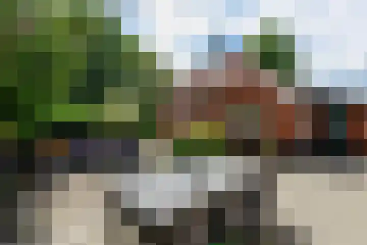 Huchten 2 Drachtstercompagnie thumbnail 53
