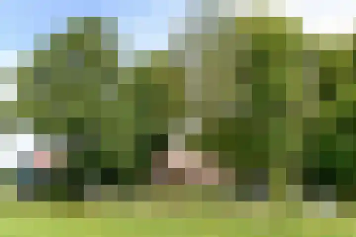 Huchten 2 Drachtstercompagnie thumbnail 59