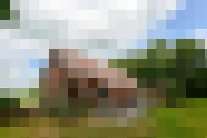 Huchten 2 Drachtstercompagnie thumbnail 6