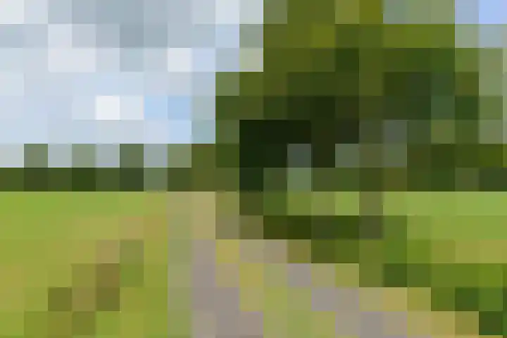 Huchten 2 Drachtstercompagnie thumbnail 60