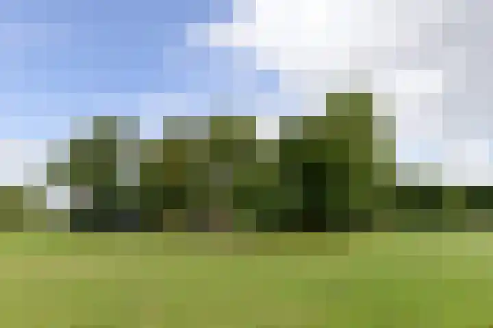 Huchten 2 Drachtstercompagnie thumbnail 62