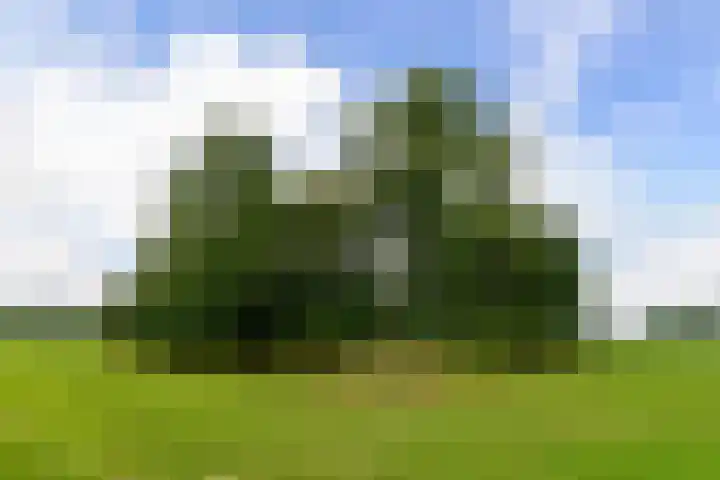 Huchten 2 Drachtstercompagnie thumbnail 63