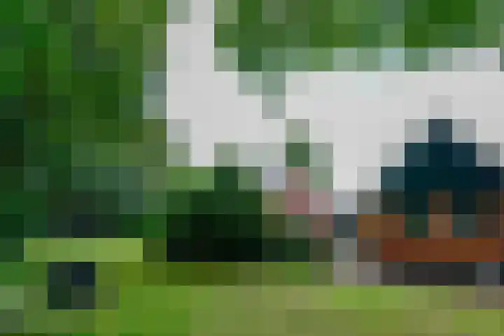 Huchten 2 Drachtstercompagnie thumbnail 64