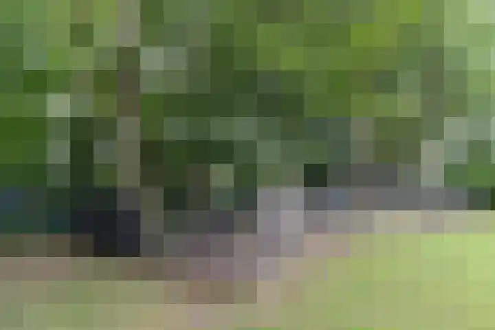 Huchten 2 Drachtstercompagnie thumbnail 66