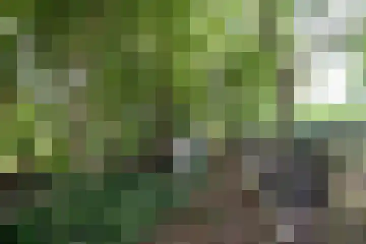 Huchten 2 Drachtstercompagnie thumbnail 67