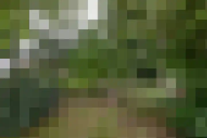 Huchten 2 Drachtstercompagnie thumbnail 70