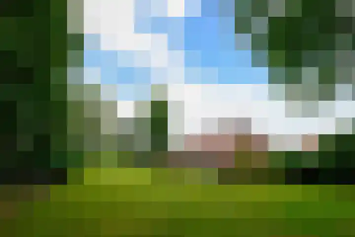 Huchten 2 Drachtstercompagnie thumbnail 72