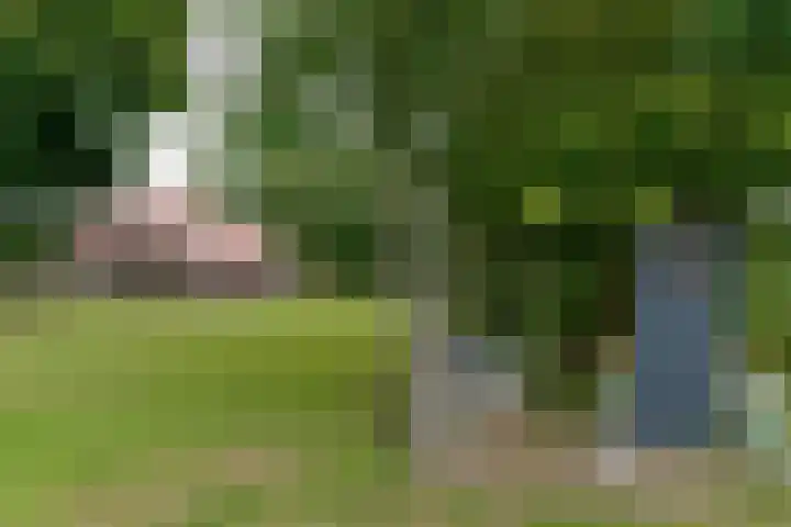 Huchten 2 Drachtstercompagnie thumbnail 73