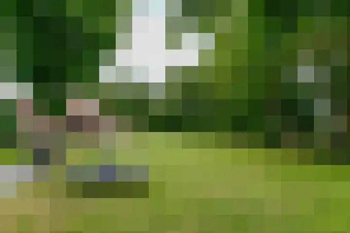 Huchten 2 Drachtstercompagnie thumbnail 74