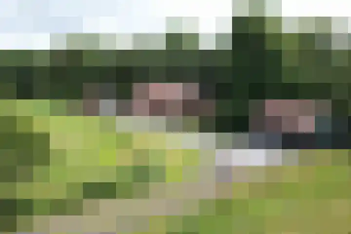 Huchten 2 Drachtstercompagnie thumbnail 75