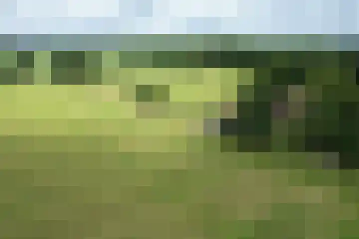 Huchten 2 Drachtstercompagnie thumbnail 78