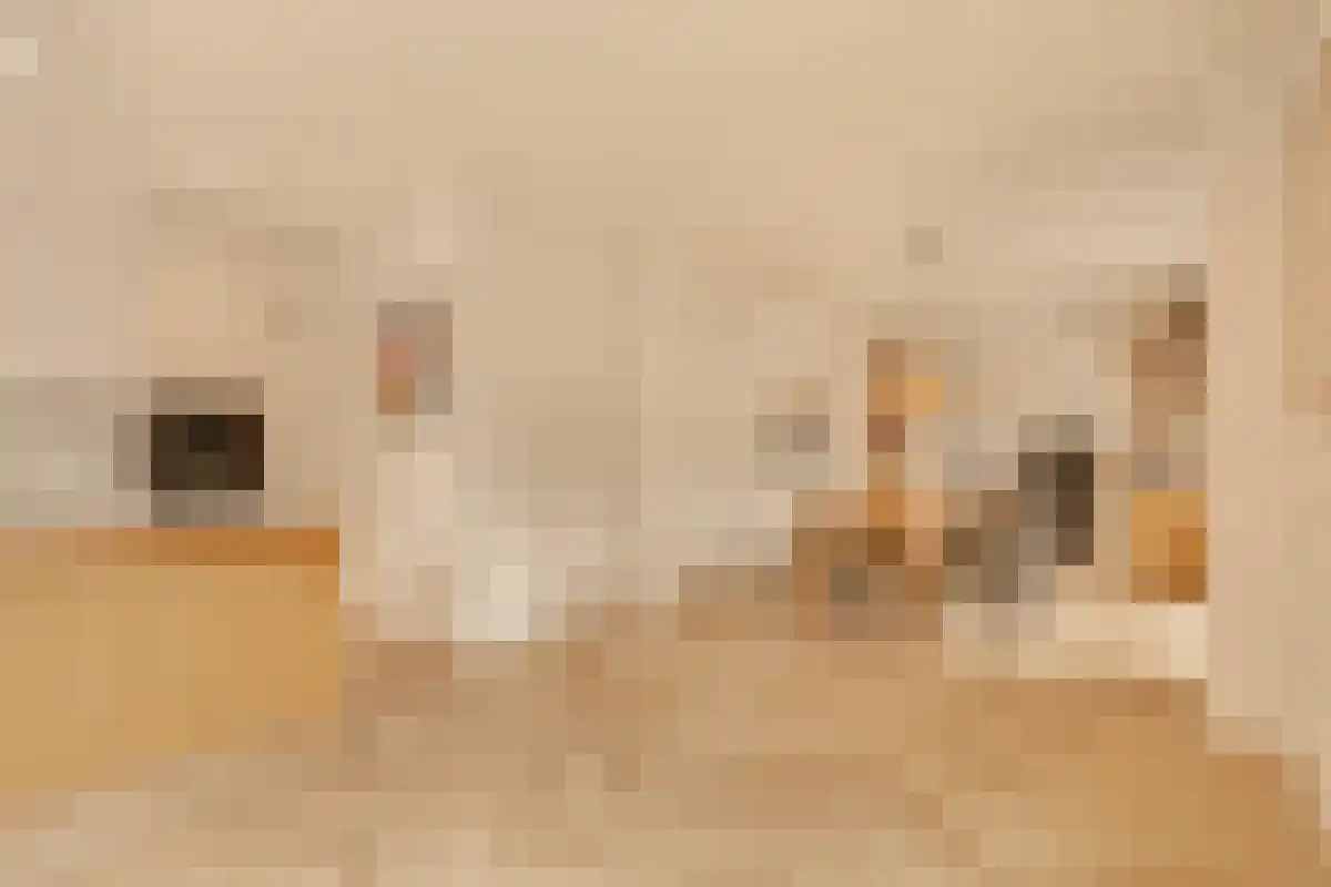 Huddestraat 7 E Amsterdam thumbnail 5