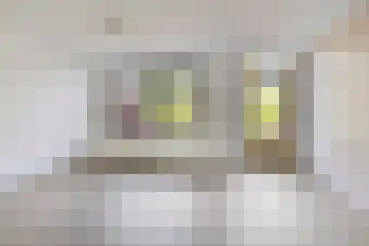 Hudighaven 17 Barendrecht thumbnail 5