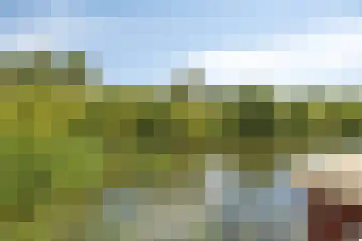 Hudighaven 17 Barendrecht thumbnail 8