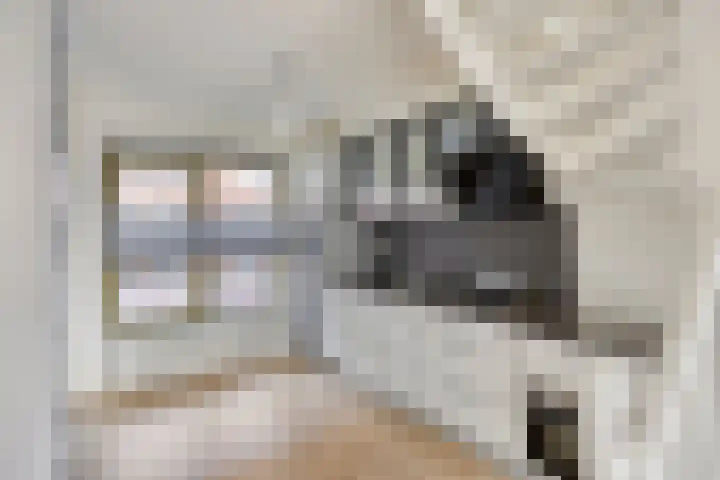 Hudson 34 Den Haag thumbnail 9