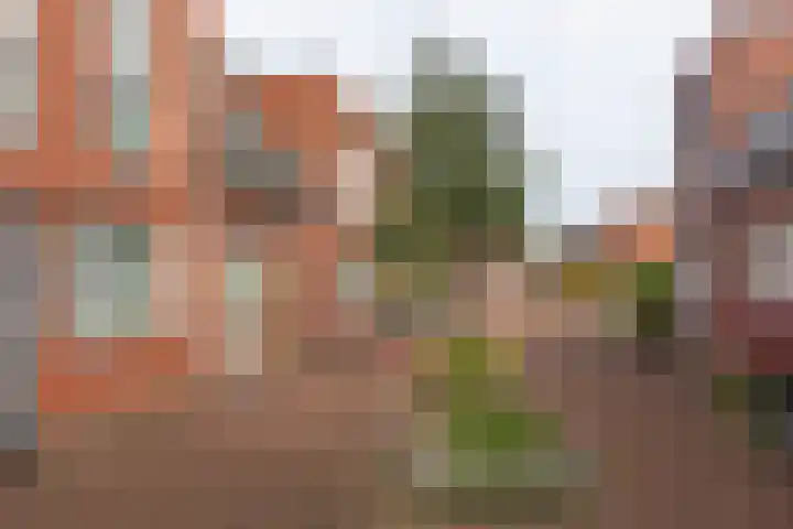 Hudson 9 Den Haag thumbnail 29