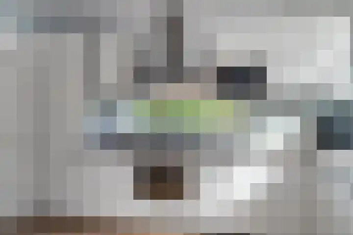 Hudson 9 Den Haag thumbnail 6