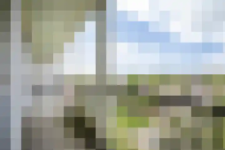 Hudsonlaan 104 's-Hertogenbosch thumbnail 15