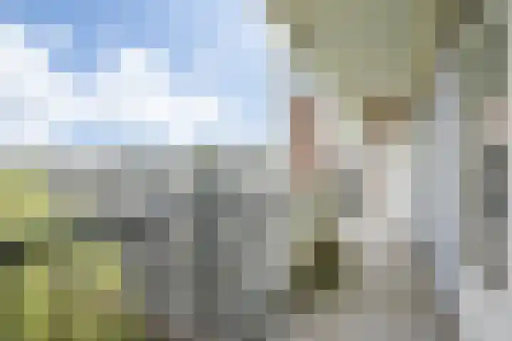 Hudsonlaan 104 's-Hertogenbosch thumbnail 16